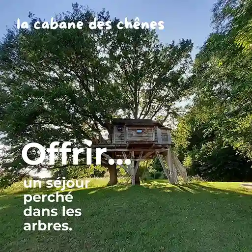 bon cadeau cabane des chênes famille dans les arbres en normandie