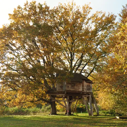 Cabane insolite dans les arbres en Normandie