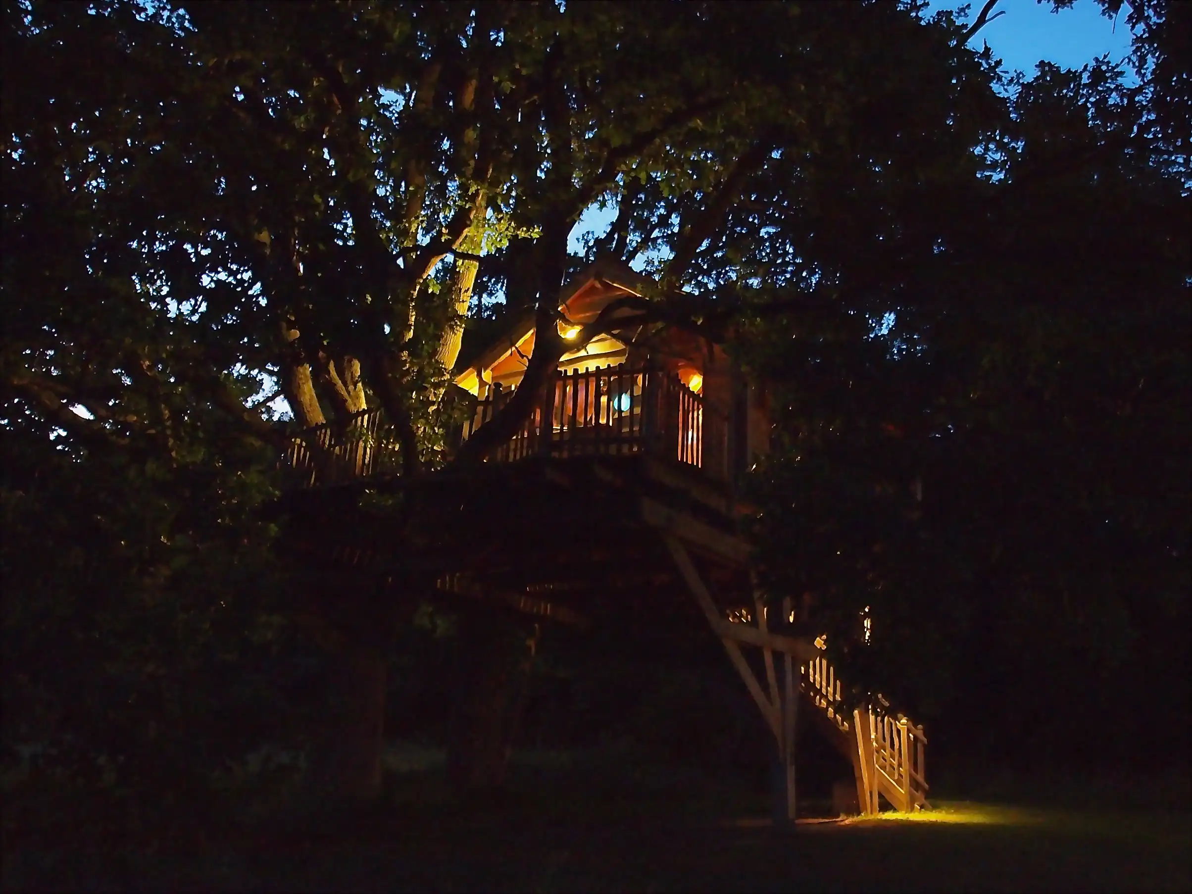 La Cabane des Chênes illuminée la nuit dans les arbres bicentenaires du Perche