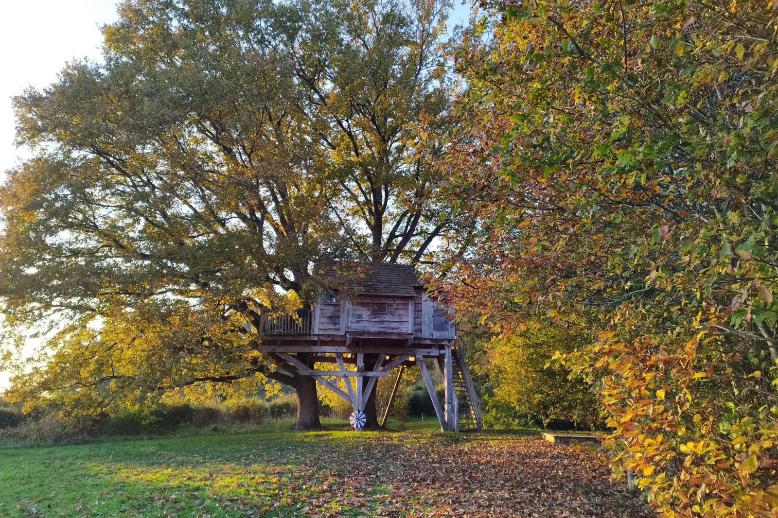 la cabane des chênes dans les arbres en automne