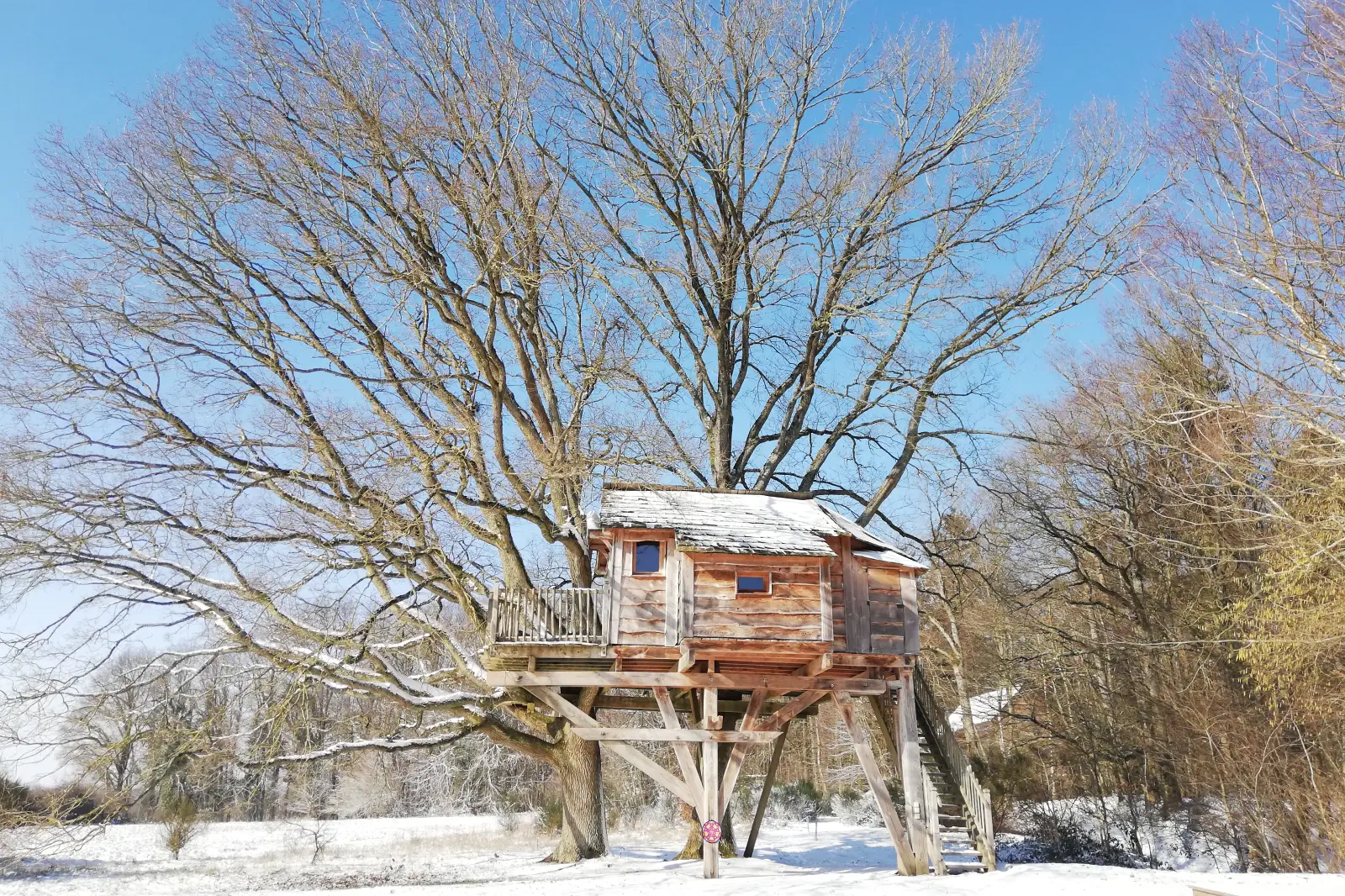 la cabane des chênes dans les arbres en hiver