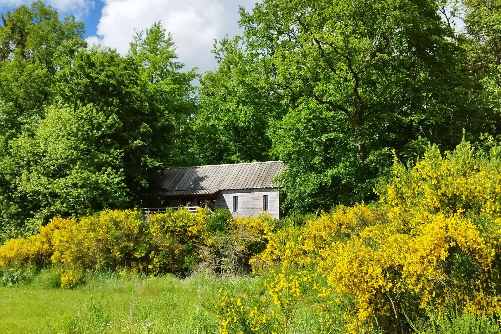 grande cabane et son spa prairie